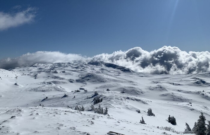 Olympic Mountain Jahorina