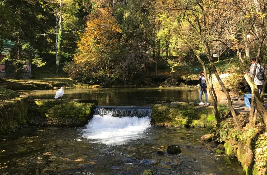 Spring of River Bosna - What to see in Sarajevo