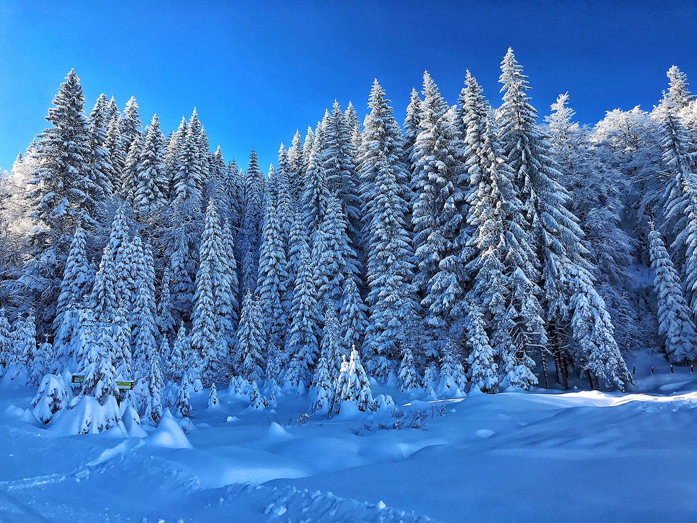 Sarajevo Jahorina - Princip od vrata do vrata