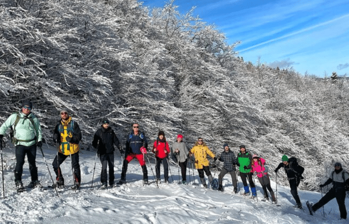 Snowshoeing tour experience