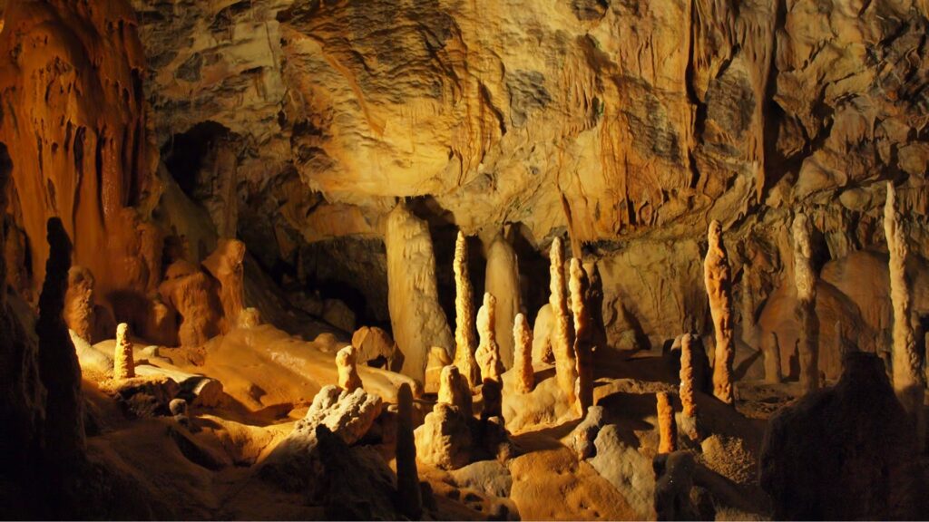 Why to visit Ljubljana Postojna Caves
